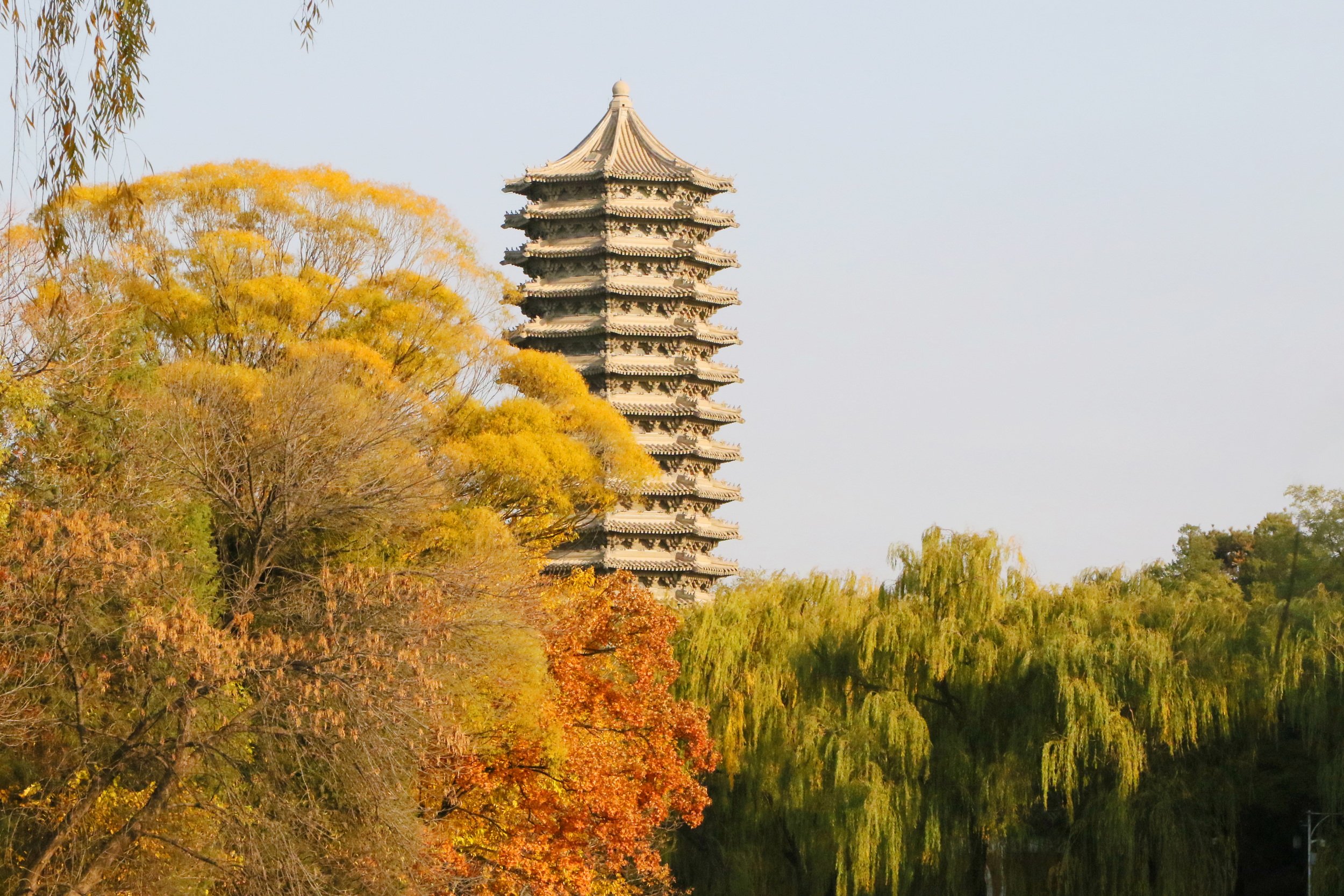 7R1A8463_调整大小.JPG